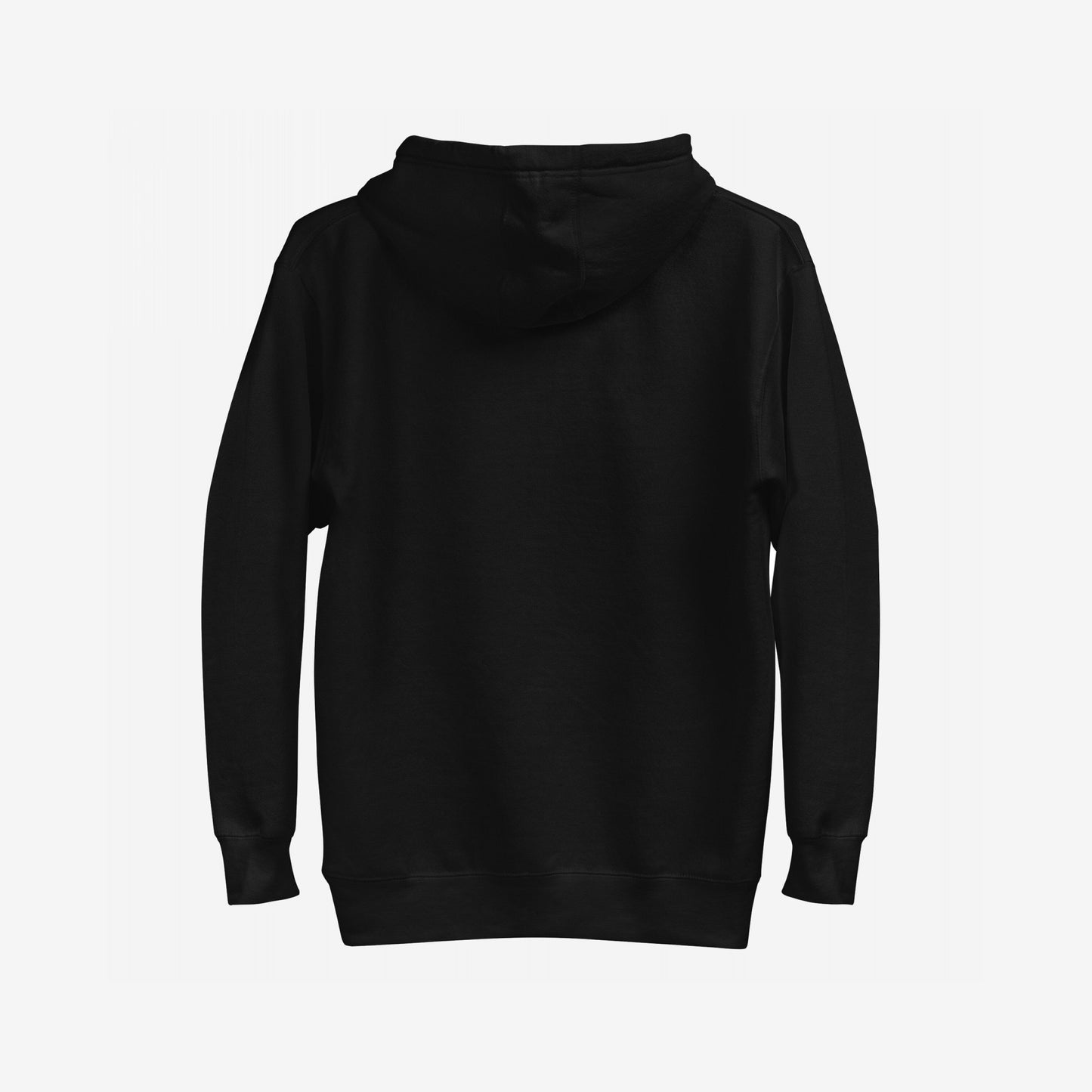 Back view of the Be Careful Hoodie EU, a plain black pullover with hood, ribbed cuffs, and hem, designed for activists and disruptors, embodying a bold, rebellious spirit.