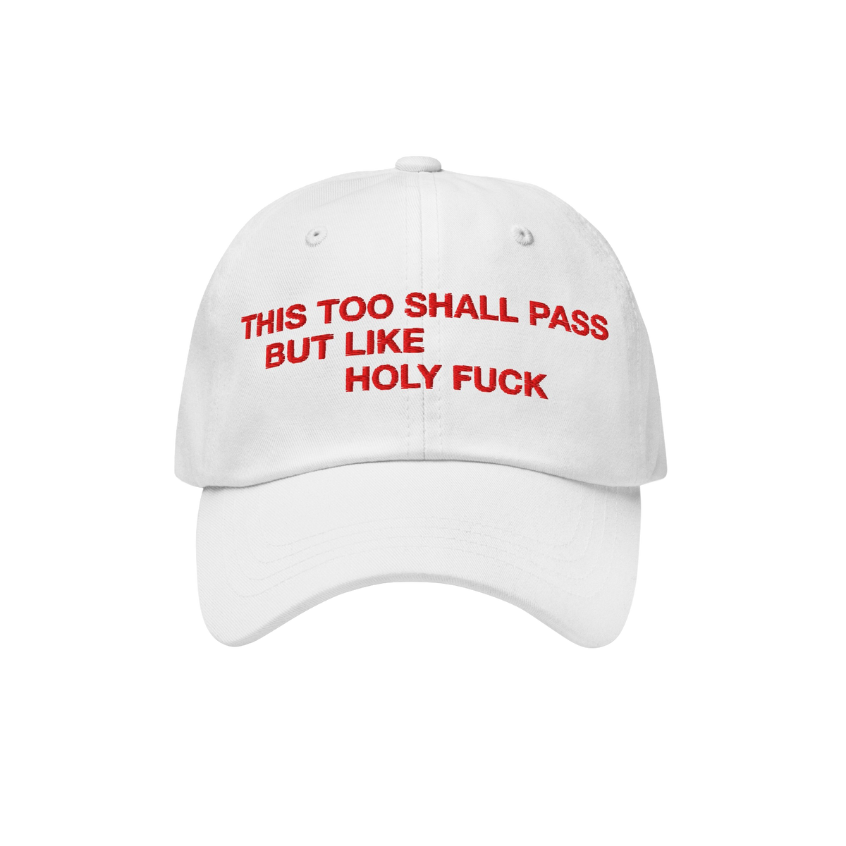 This Too Shall Pass Dad Hat