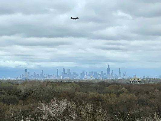 Gone ‘Til November (Chicago, IL) by Egoproof