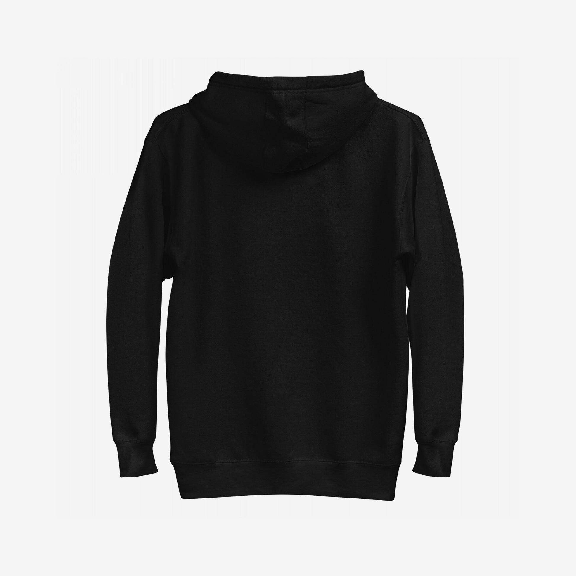 Back view of the Be Careful Hoodie EU, a plain black pullover with hood, ribbed cuffs, and hem, designed for activists and disruptors, embodying a bold, rebellious spirit.