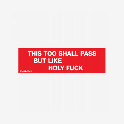 This Too Shall Pass Sticker & Magnet